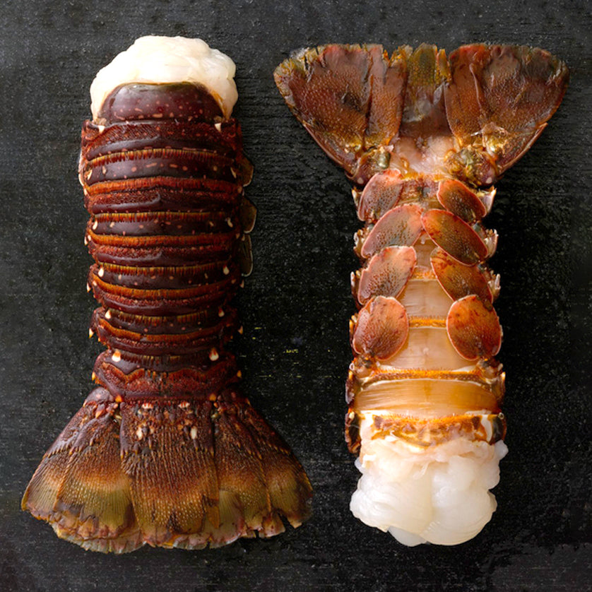 Australian Lobster Tails